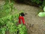 DSC00991.jpg