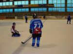 DSC02627.jpg