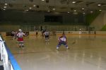 IMG_8751.jpg