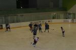 IMG_8803.jpg