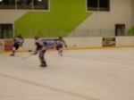 DSC00511.jpg