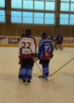 DSC02613.jpg
