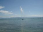 DSC00644.jpg