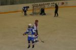 IMG_8815.jpg