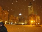 DSC01567.jpg